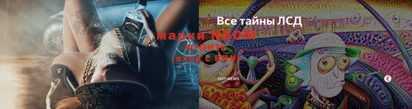 мет Алексин