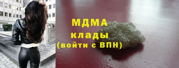 мет Алексин
