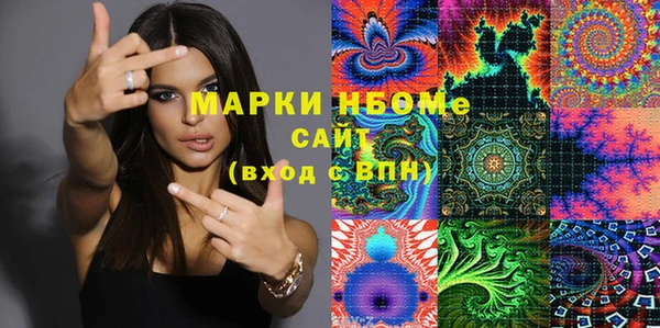 мет Алексин